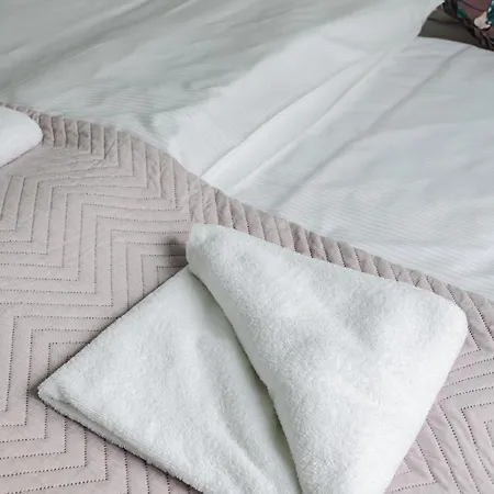 Apartmán Very Berry - Katowicka 2c - Z Balkonem I Garazem- Self Check In 24h *